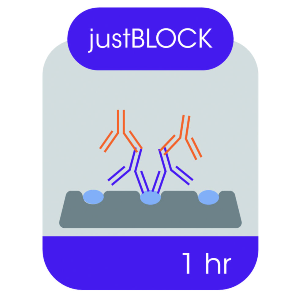 Blocking solution for Western blot Blocking solution for Western blot