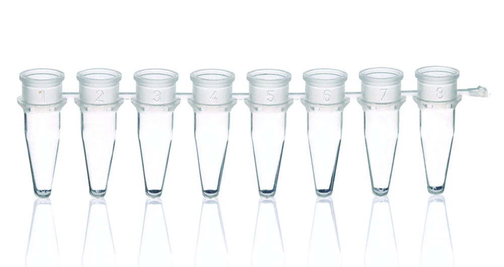 PCR tubes strips of 8, PP, without caps