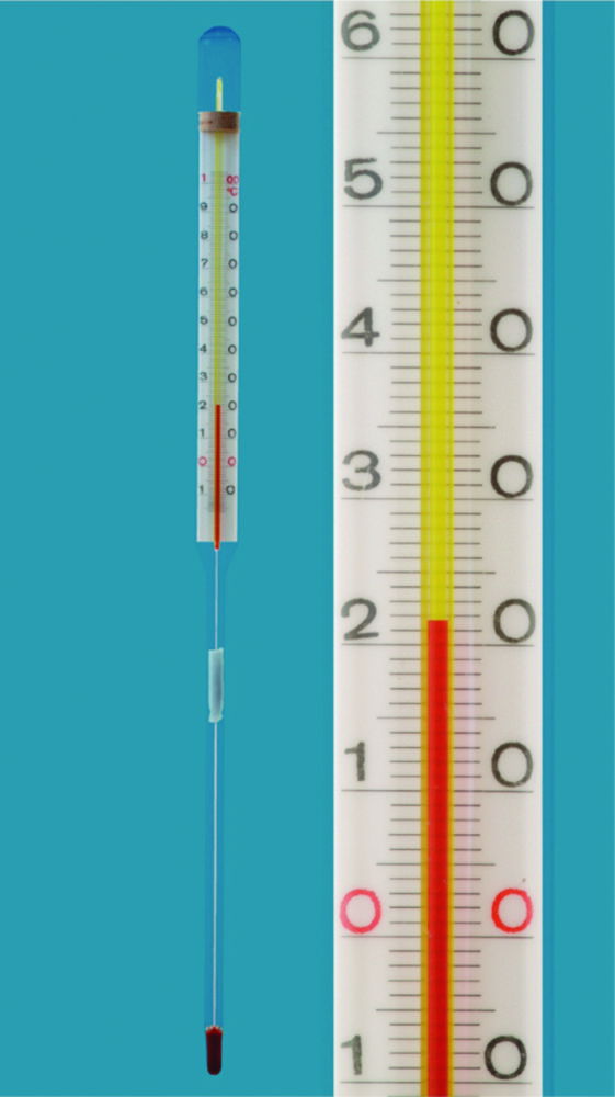 Stockthermometer
