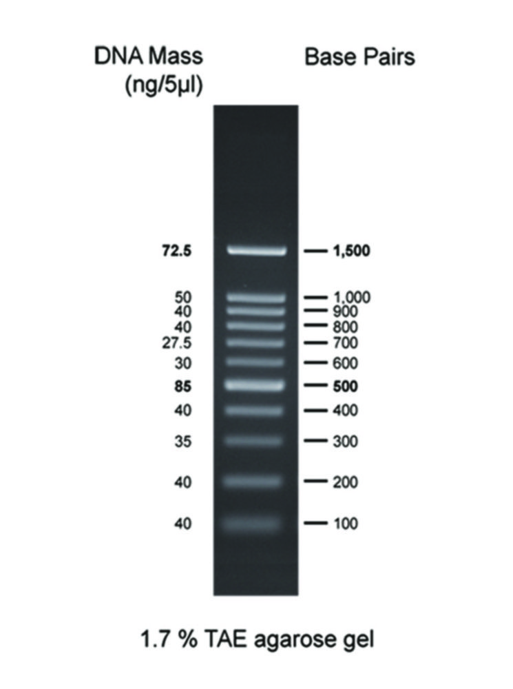 DNA Markers for Gel Electrophoresis DNA Markers for Gel Electrophoresis