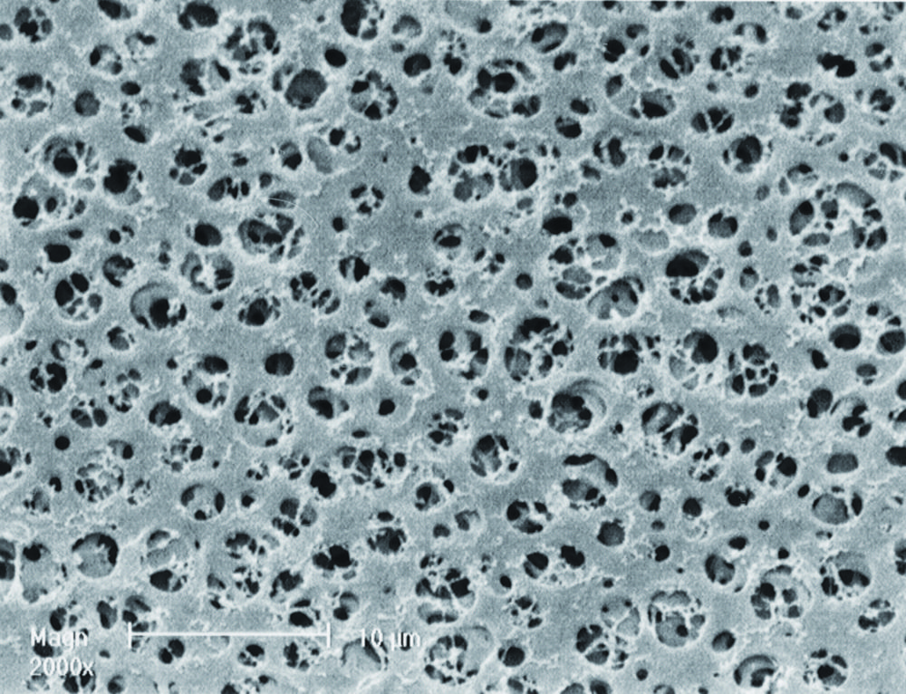 GEL blotting paper GEL blotting paper