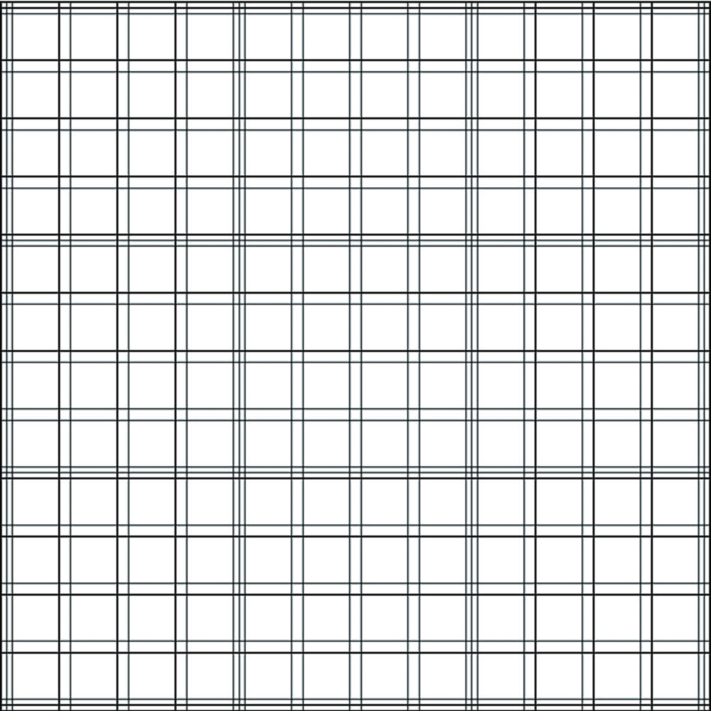 Counting Chamber, Bürker Counting Chamber, Bürker