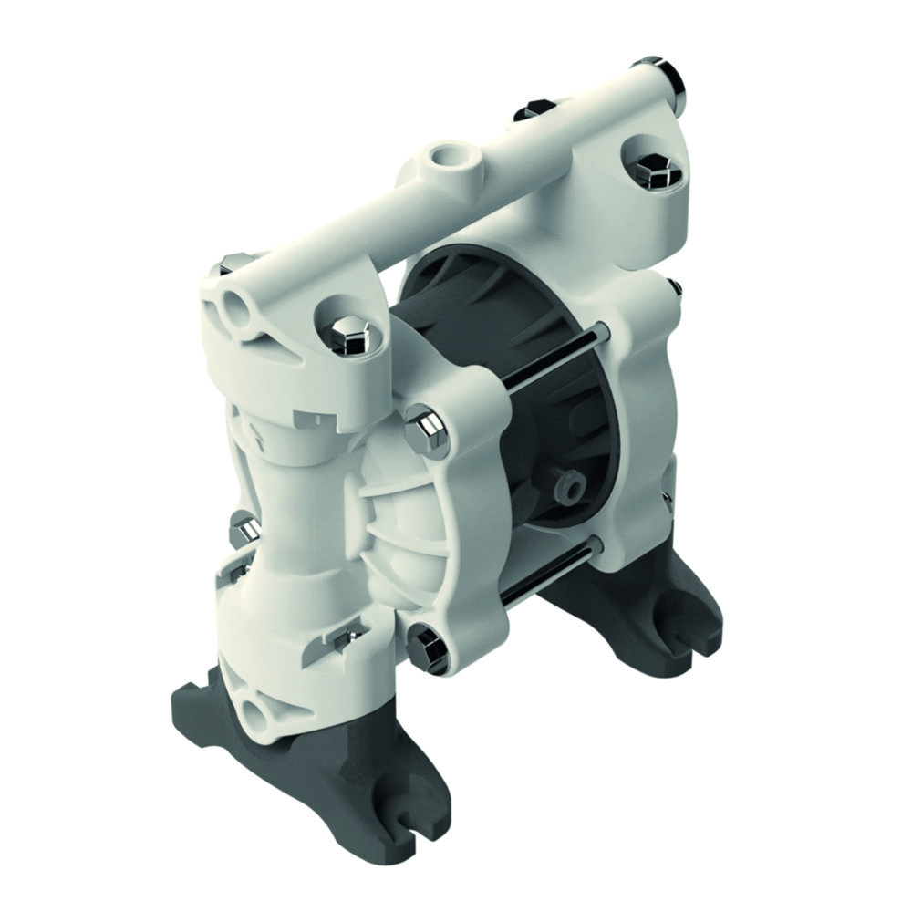 Double diaphragm pump DMP 1/4" PPB Double diaphragm pump DMP 1/4" PPB