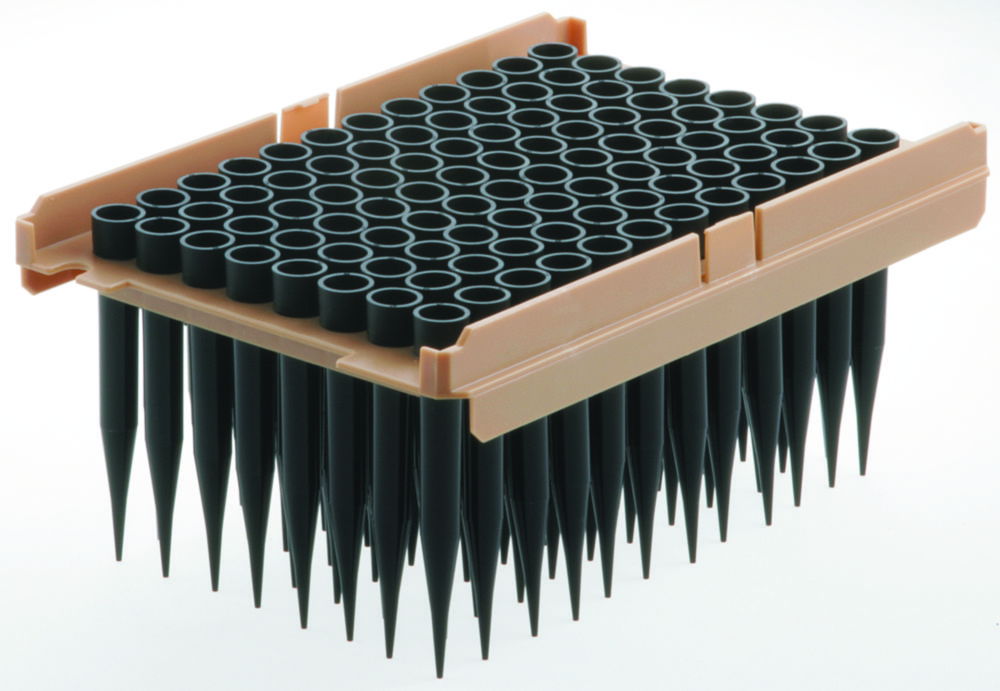 Robotikspitzen blackKnights