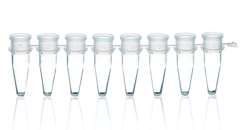 PCR tubes strips of 8, PP, without caps PCR tubes strips of 8, PP, without caps