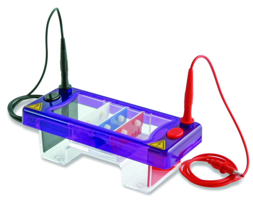Gel electrophoresis tank MultiSUB Mini Gel electrophoresis tank MultiSUB Mini