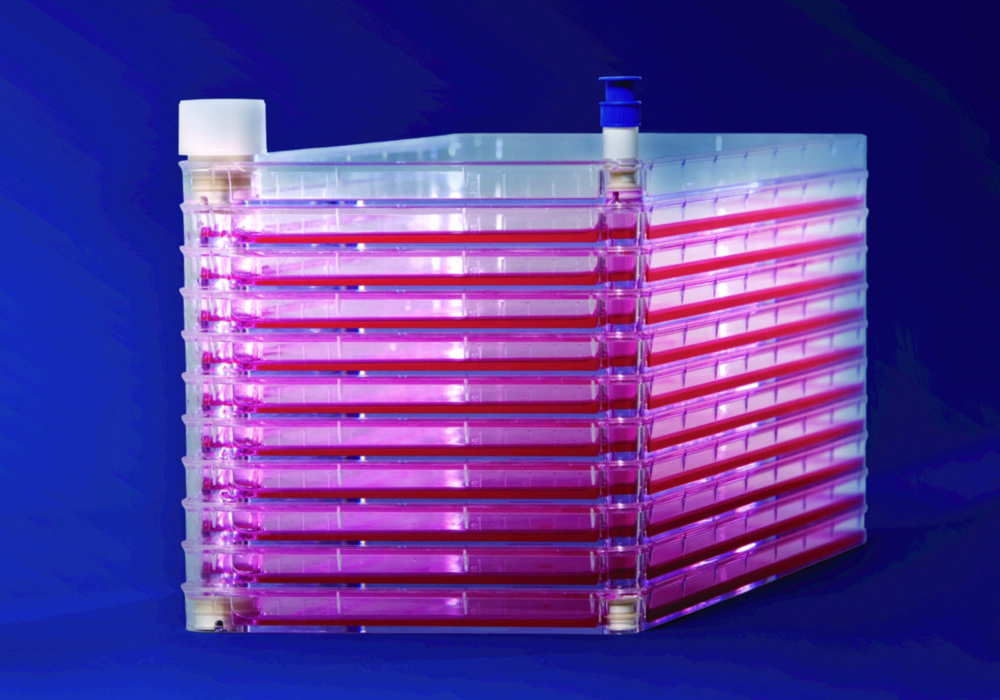 Wannenstapel EasyFill™ mit Nunclon™Δ Oberfläche, PS, steril