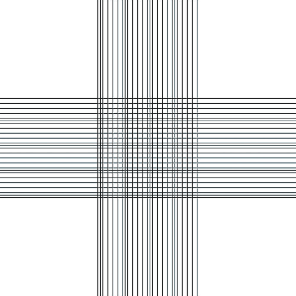 Counting Chamber, Thoma Counting Chamber, Thoma