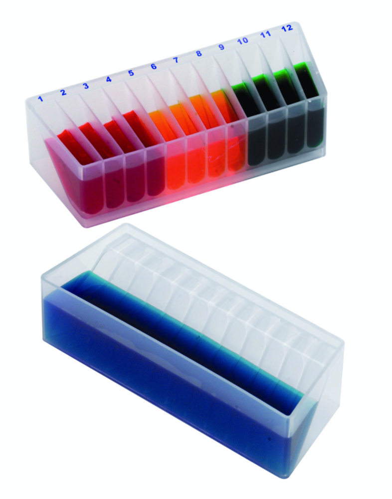 Reagenzreservoirs Dual Solution