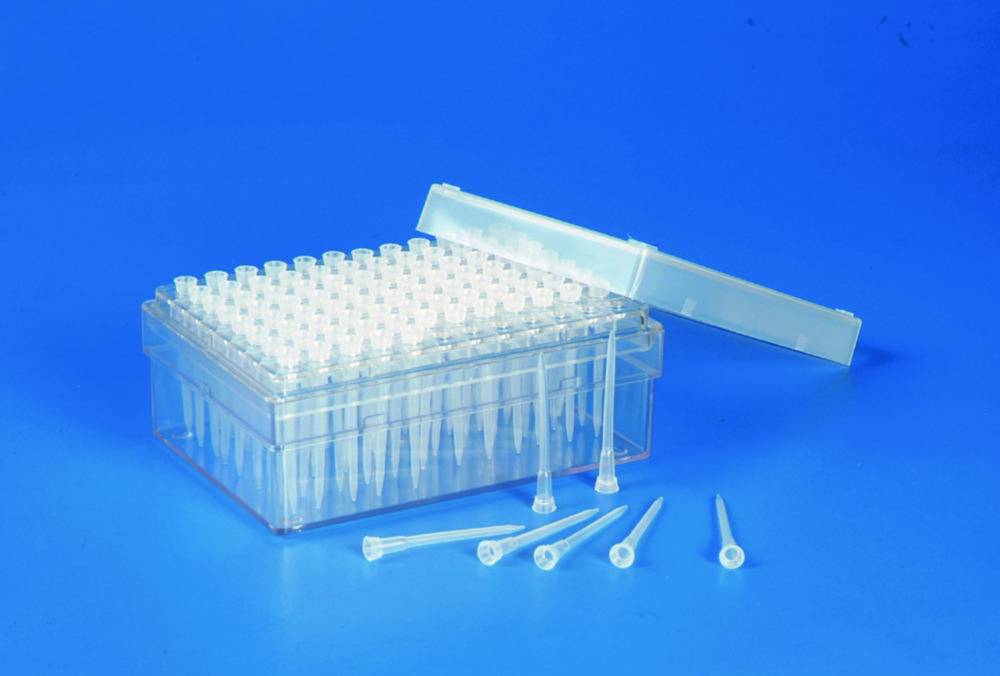 Pipette Tips, PP Pipette Tips, PP