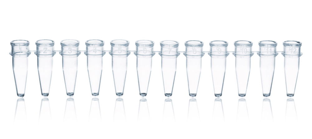 PCR tubes strips of 12, PP, without caps