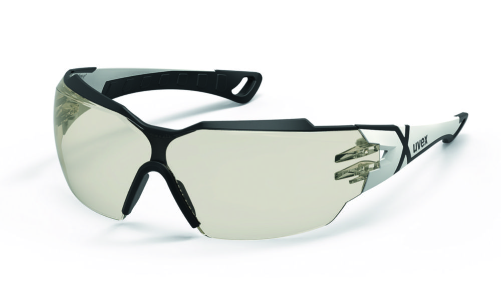 Safety Eyeshields uvex pheos cx2