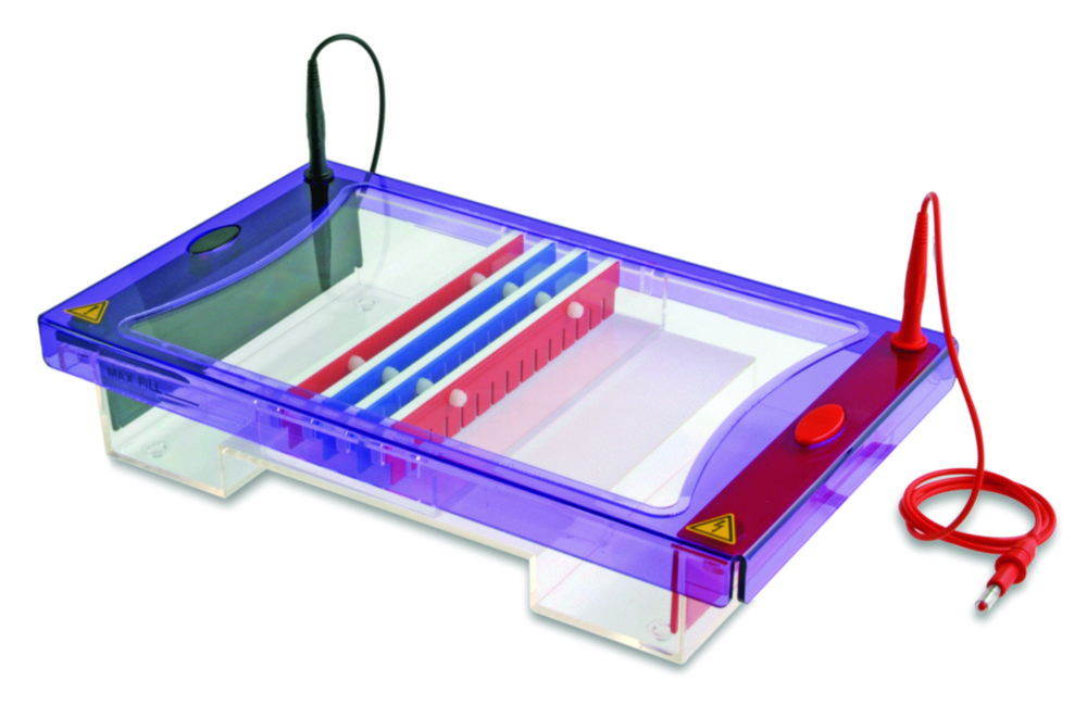 Gel electrophoresis tank MultiSUB Maxi Gel electrophoresis tank MultiSUB Maxi