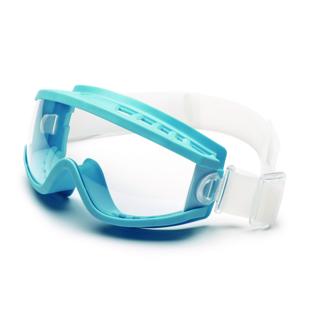Panoramic Eyeshield 619, Polycarbonate, direct ventilation Panoramic Eyeshield 619, Polycarbonate, direct ventilation