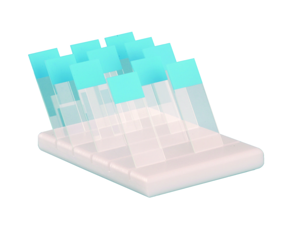 Slide Holders, PE Slide Holders, PE