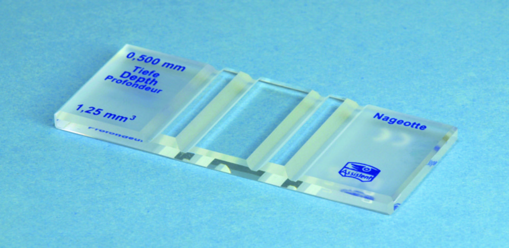 Counting Chambers according to Nageotte Counting Chambers according to Nageotte