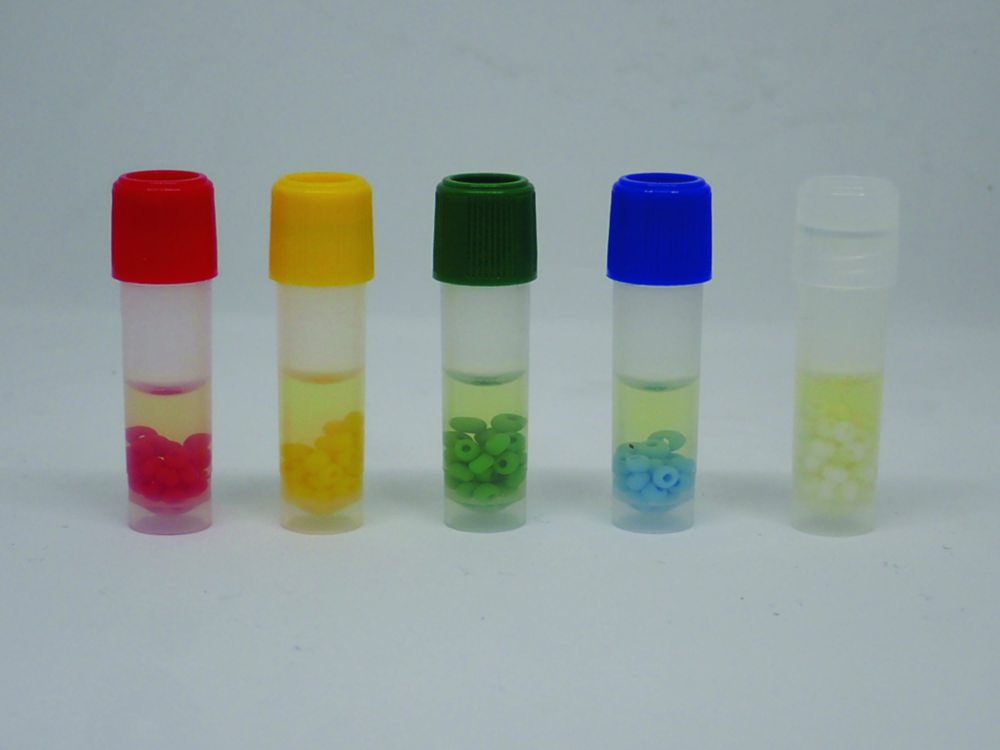 Cryopreservation beads Cryopreservation beads