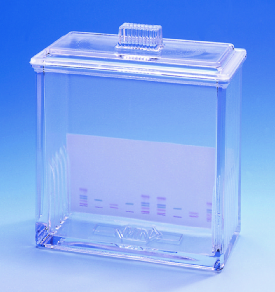 Simultaneous developing chamber Simultaneous developing chamber