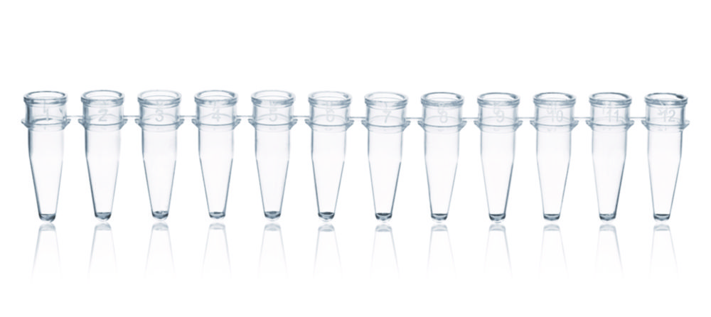 PCR tubes strips of 12, PP, without caps PCR tubes strips of 12, PP, without caps