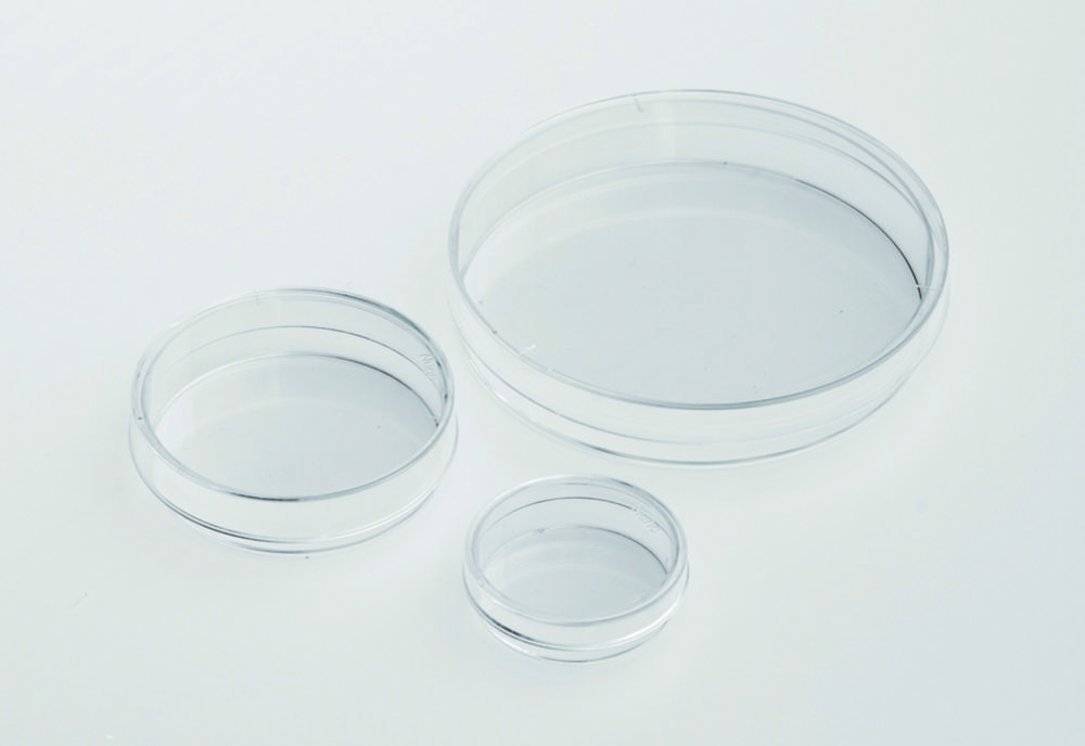 IVF Petrischalen