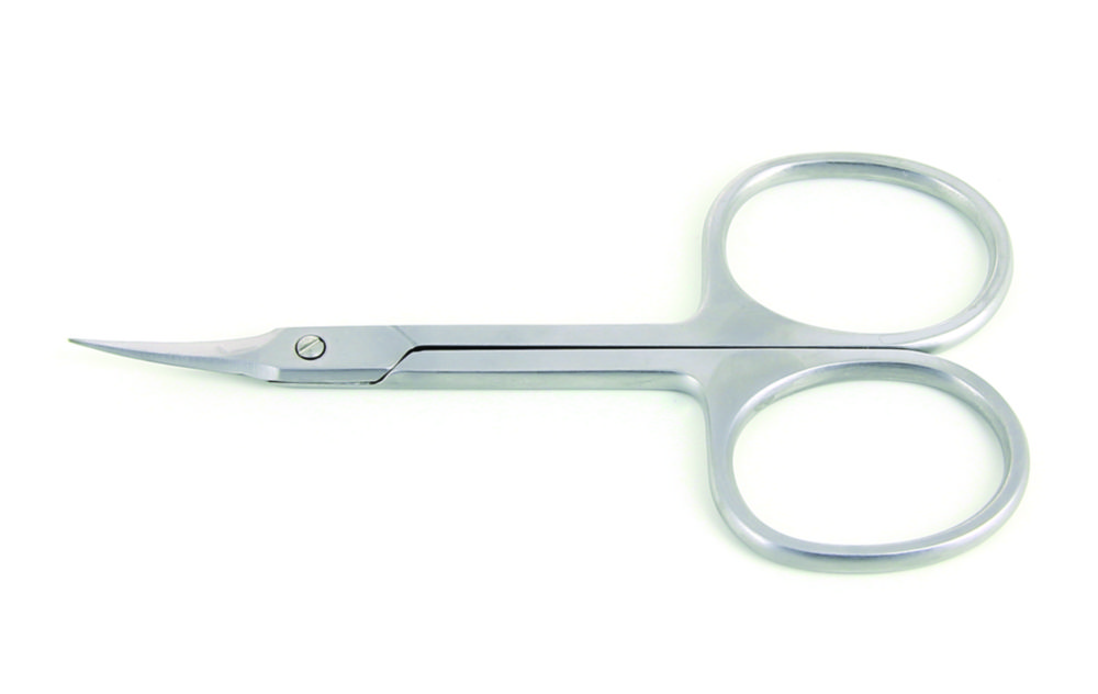 Scissors, stainless steel
