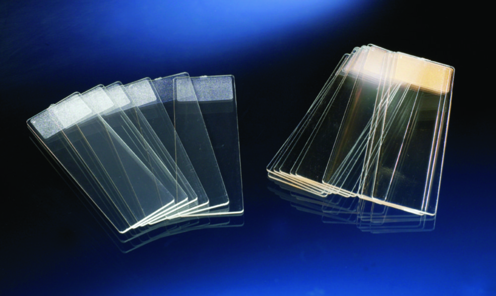 Microscope Slides, TC, sterile