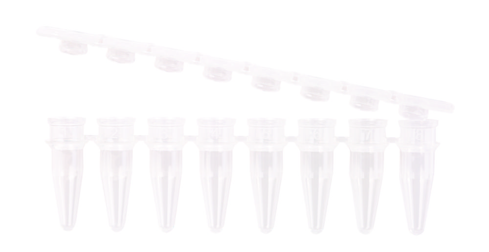 LLG-PCR tubes, PP, strips of 8 with seperate cap strips LLG-PCR tubes, PP, strips of 8 with seperate cap strips