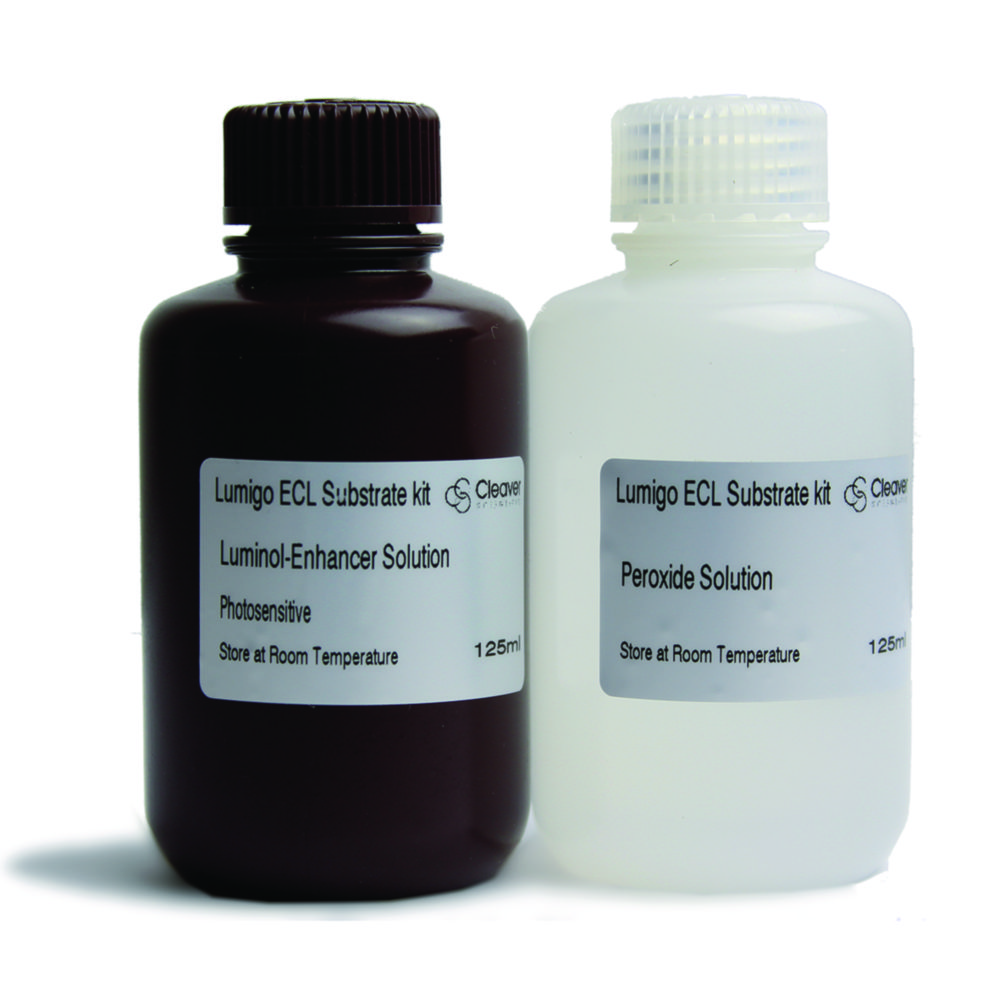 Substrate kits, ECL Substrate kits, ECL