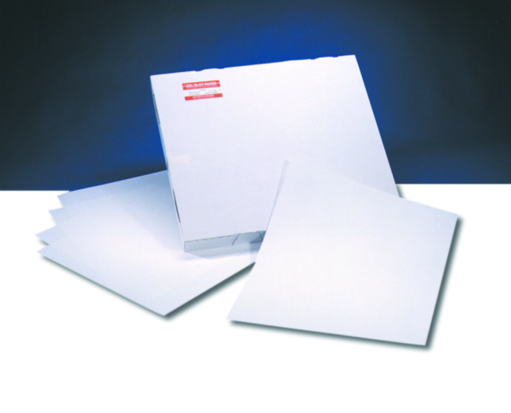 Gel blotting paper Gel blotting paper