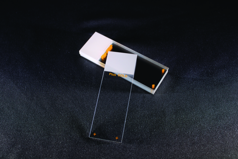 Adhesive microscope slides Superfrost® Plus Gold Adhesive microscope slides Superfrost® Plus Gold