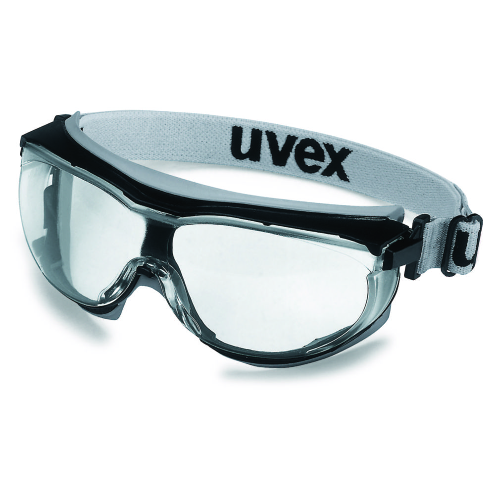 Panoramic Eyeshield uvex carbonvision 9307 Panoramic Eyeshield uvex carbonvision 9307