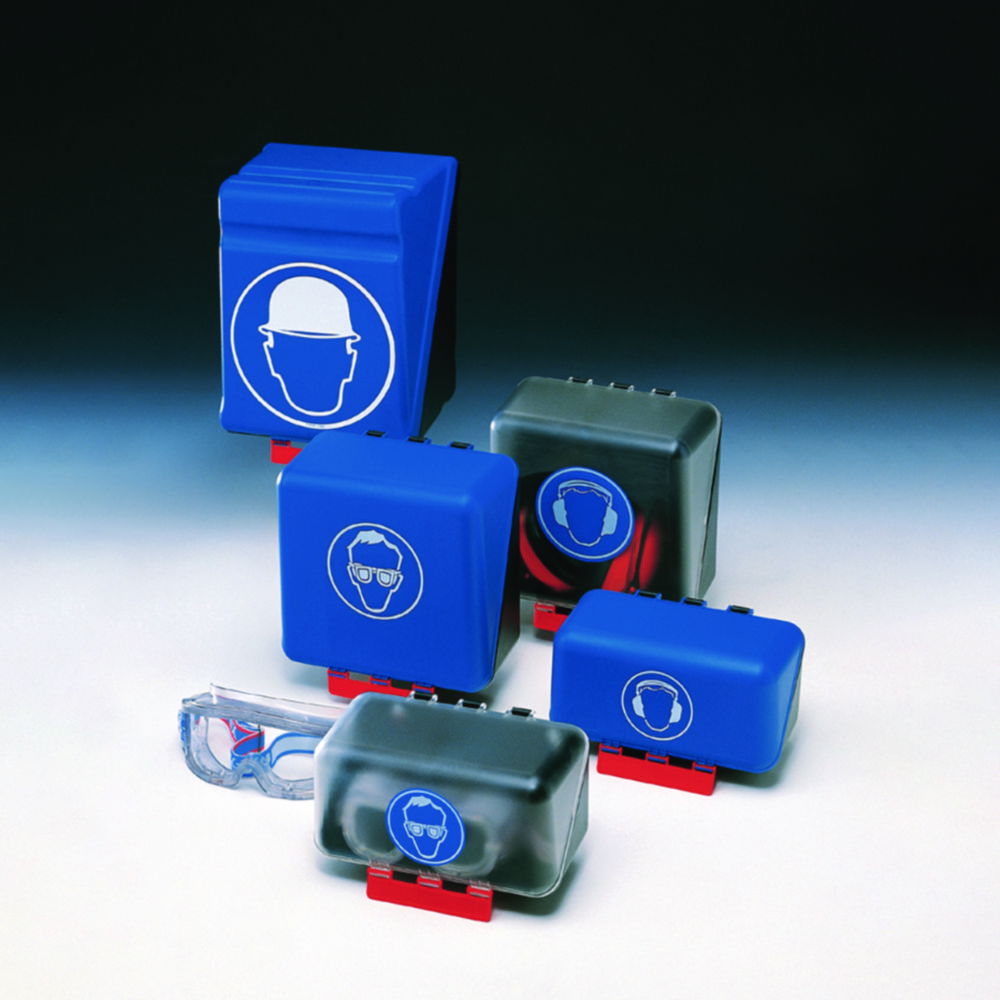 Safety Equipment Storage Boxes SecuBox Mini/Midi/Maxi, Eye protection with insert for safety glasses