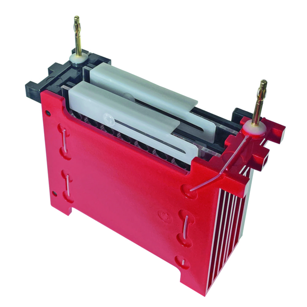 Blotting system miniBLOT for electrophoresis tank proPAGE Blotting system miniBLOT for electrophoresis tank proPAGE