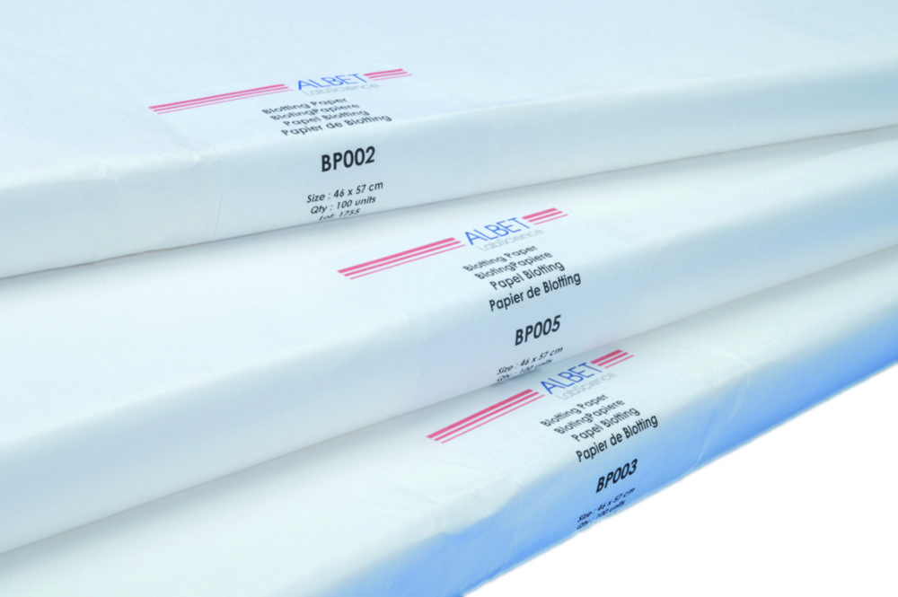 Blotting paper Blotting paper